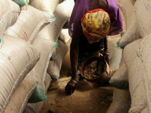 gimg_1106619.jpg image