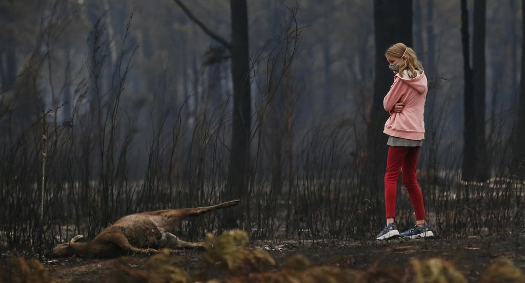 v3imagesbin4043367dd313ad51ee0afe13afd4fd95-u9hnfgjcmmcbgwijlt2_t1880